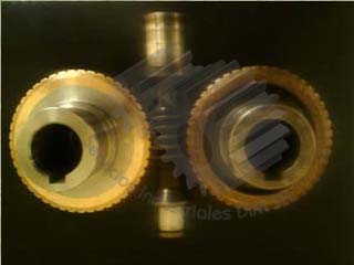 Imagen 2